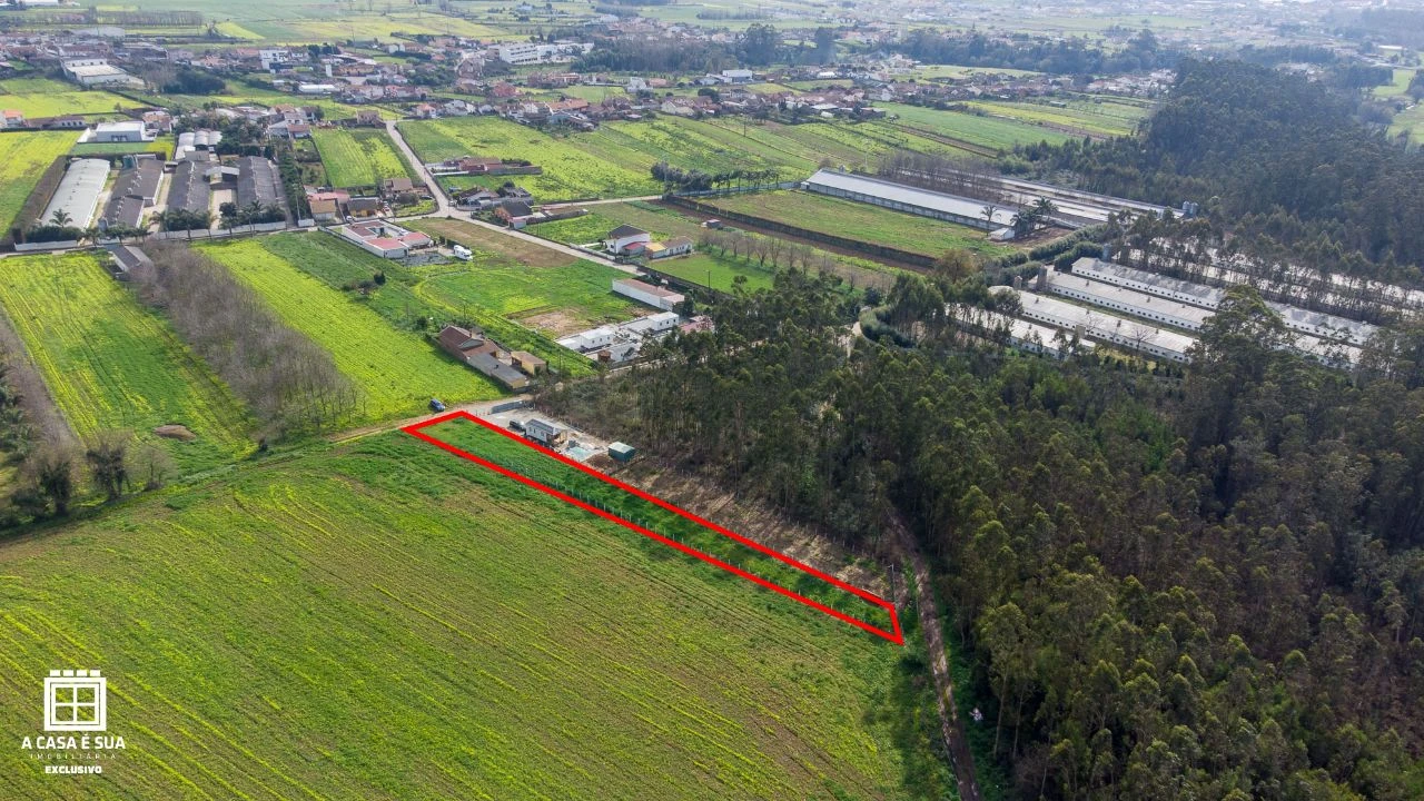 Terreno para Venda em Salgueiral de Cima Foto 8
