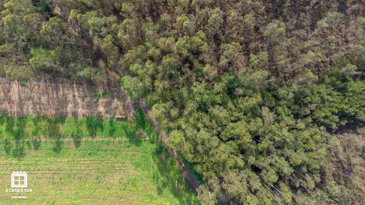 Terreno para Venda em Salgueiral de Cima Foto 11