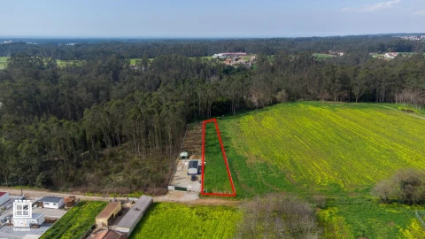 Terreno para Venda em Salgueiral de Cima