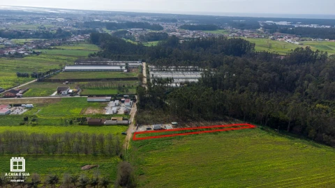 Terreno para Venda em Salgueiral de Cima