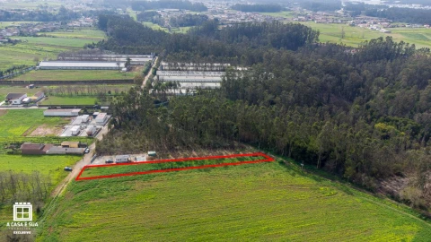 Terreno para Venda em Salgueiral de Cima