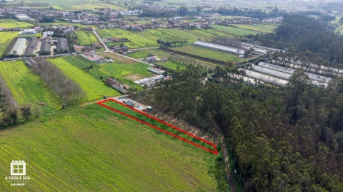 Terreno para Venda em Salgueiral de Cima