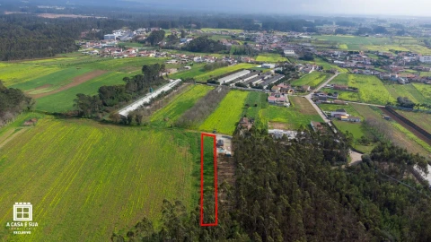 Terreno para Venda em Salgueiral de Cima