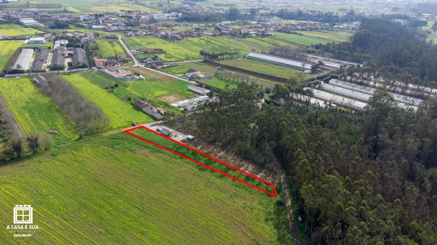 Terreno para Venda em Salgueiral de Cima Foto 8