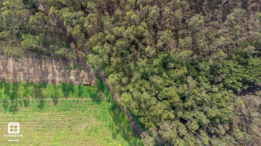 Terreno para Venda em Salgueiral de Cima Foto 11
