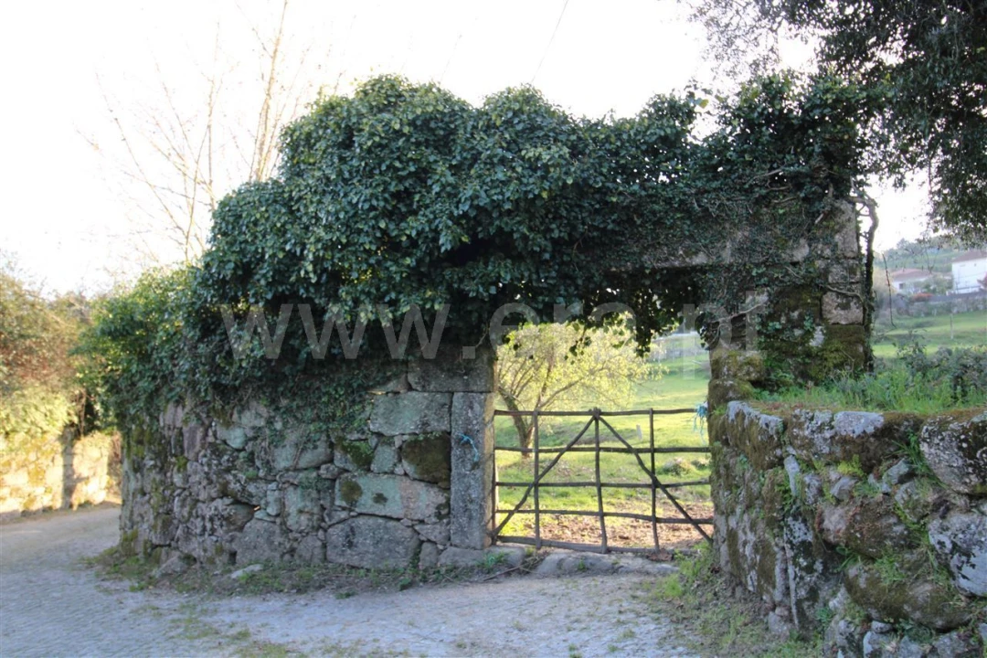 Quinta T4 para Venda em Rendufinho Foto 30