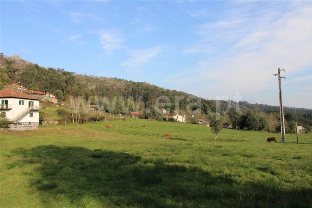 Quinta T4 para Venda em Rendufinho Foto 28