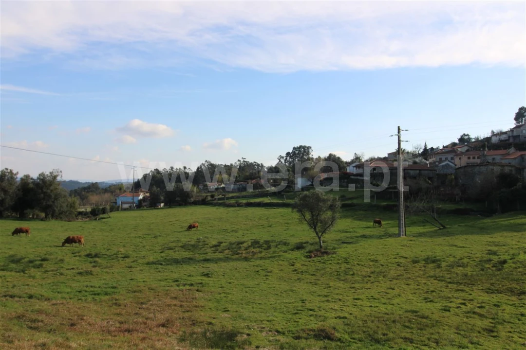 Quinta T4 para Venda em Rendufinho Foto 32