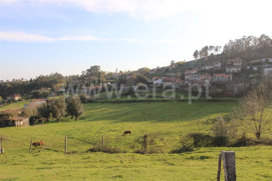 Quinta T4 para Venda em Rendufinho Foto 33