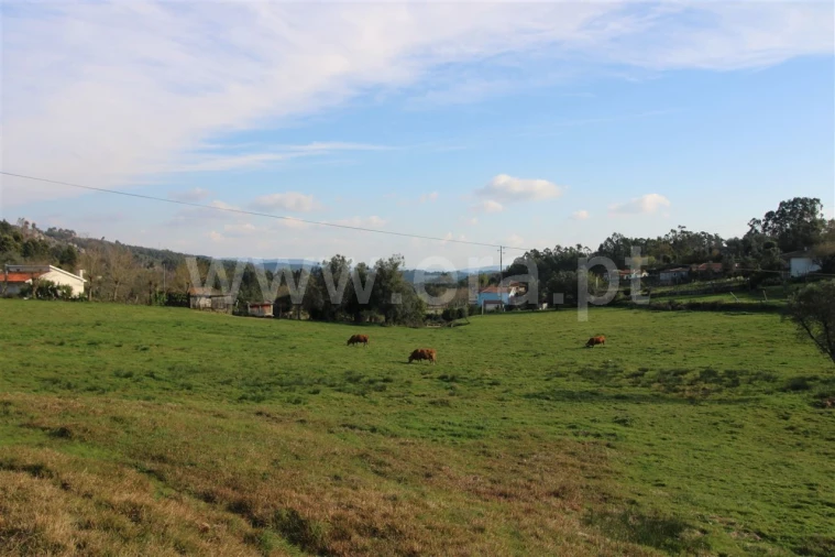 Quinta T4 para Venda em Rendufinho Foto 31