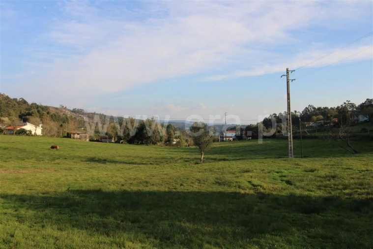 Quinta T4 para Venda em Rendufinho Foto 29