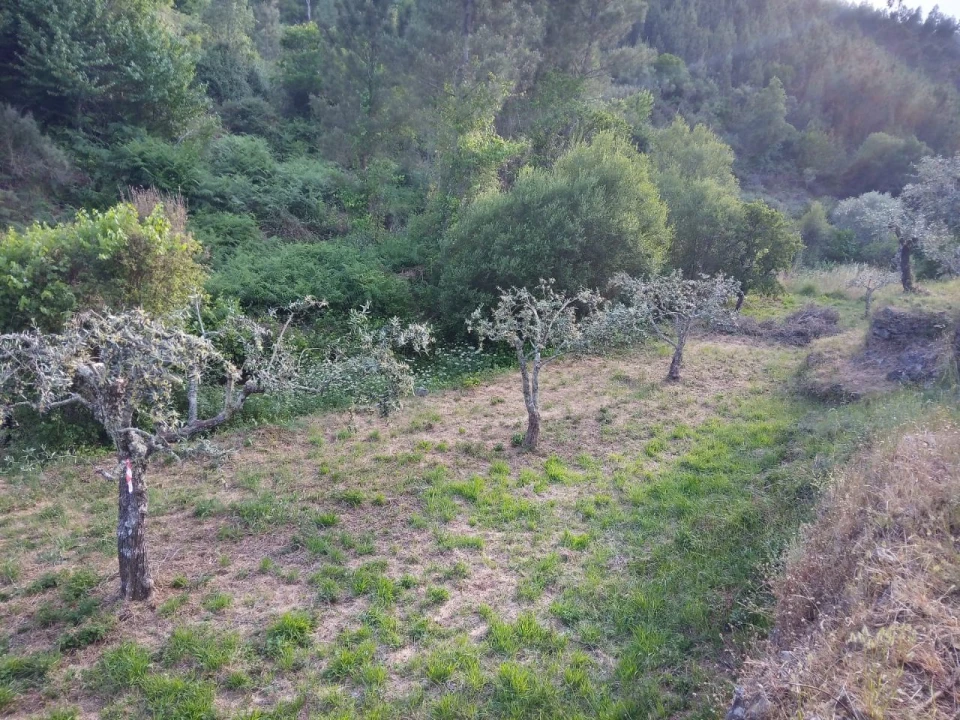 Negócio para Venda em Descoberto Foto 6