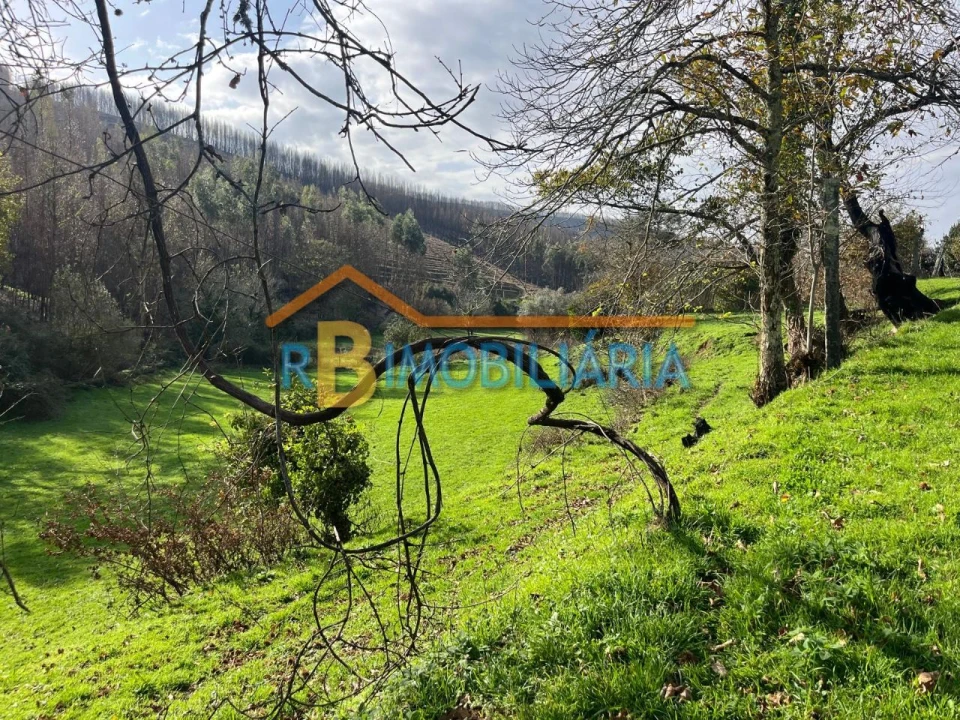 Quinta T2 para Venda em Várzeas Foto 5