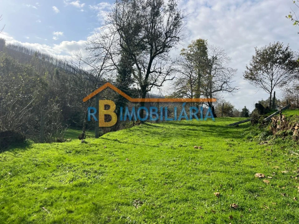 Quinta T2 para Venda em Várzeas Foto 8