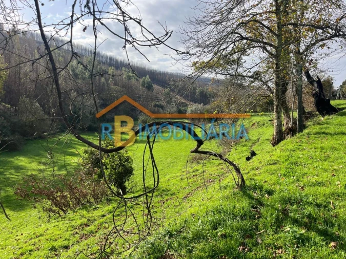 Quinta T2 para Venda em Várzeas Foto 5