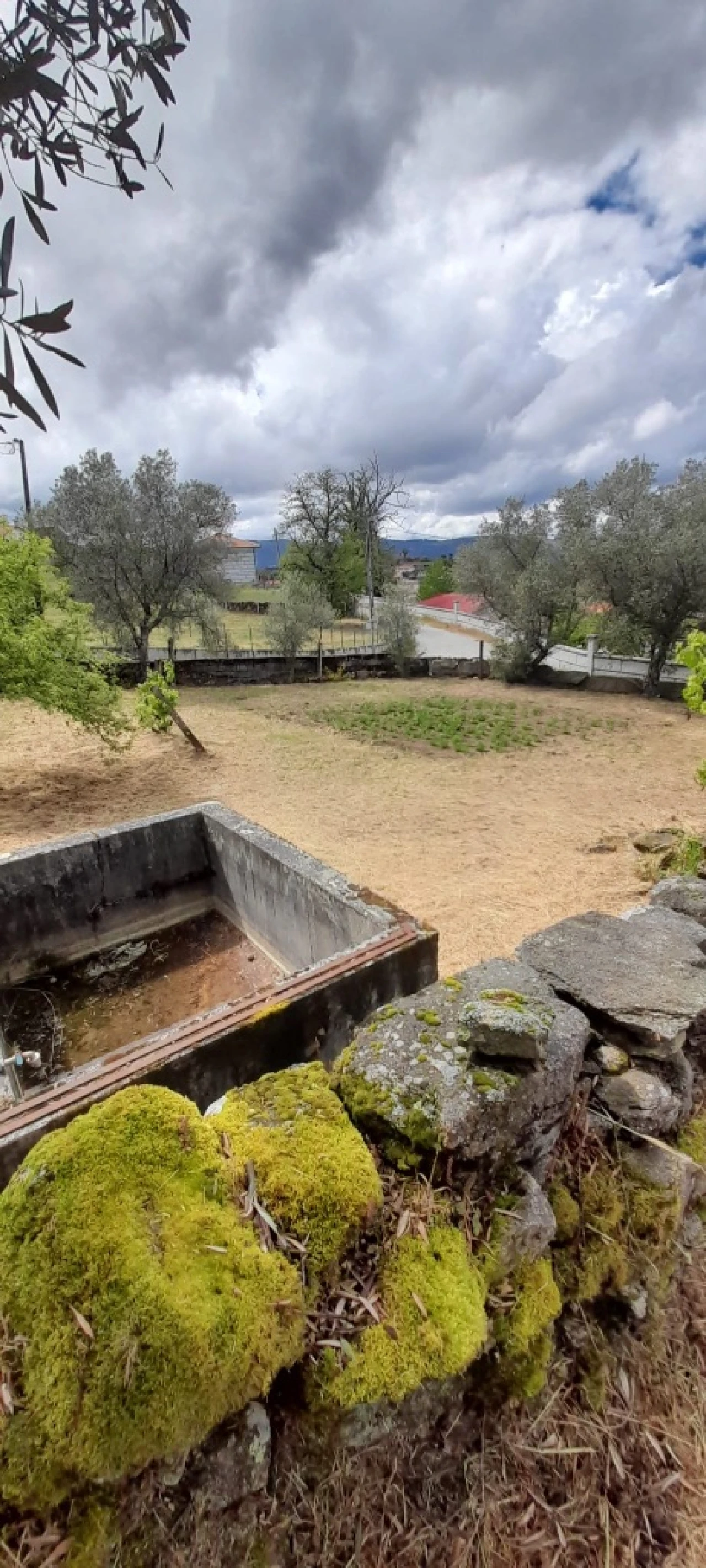 Moradia T3 para Venda em Freixeda Foto 7