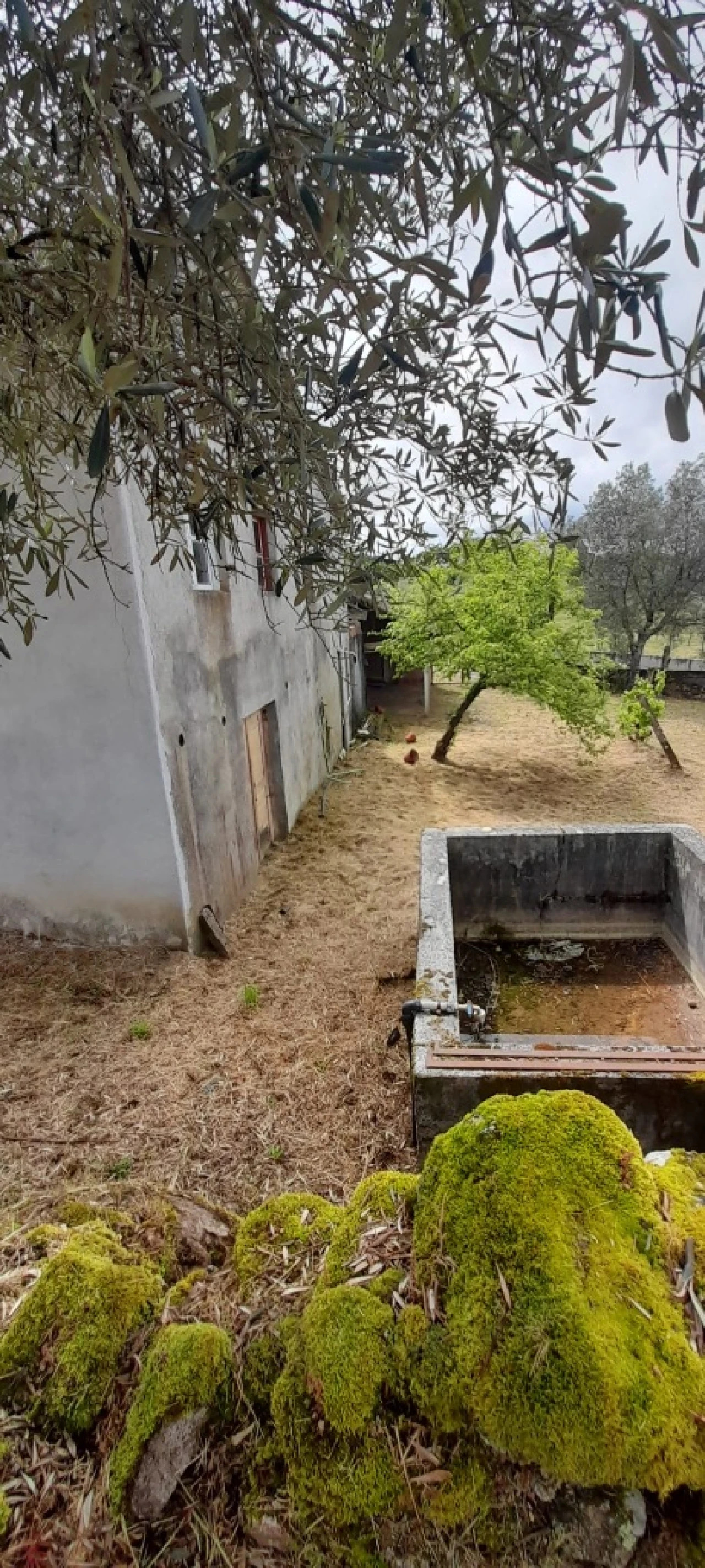 Moradia T3 para Venda em Freixeda Foto 9