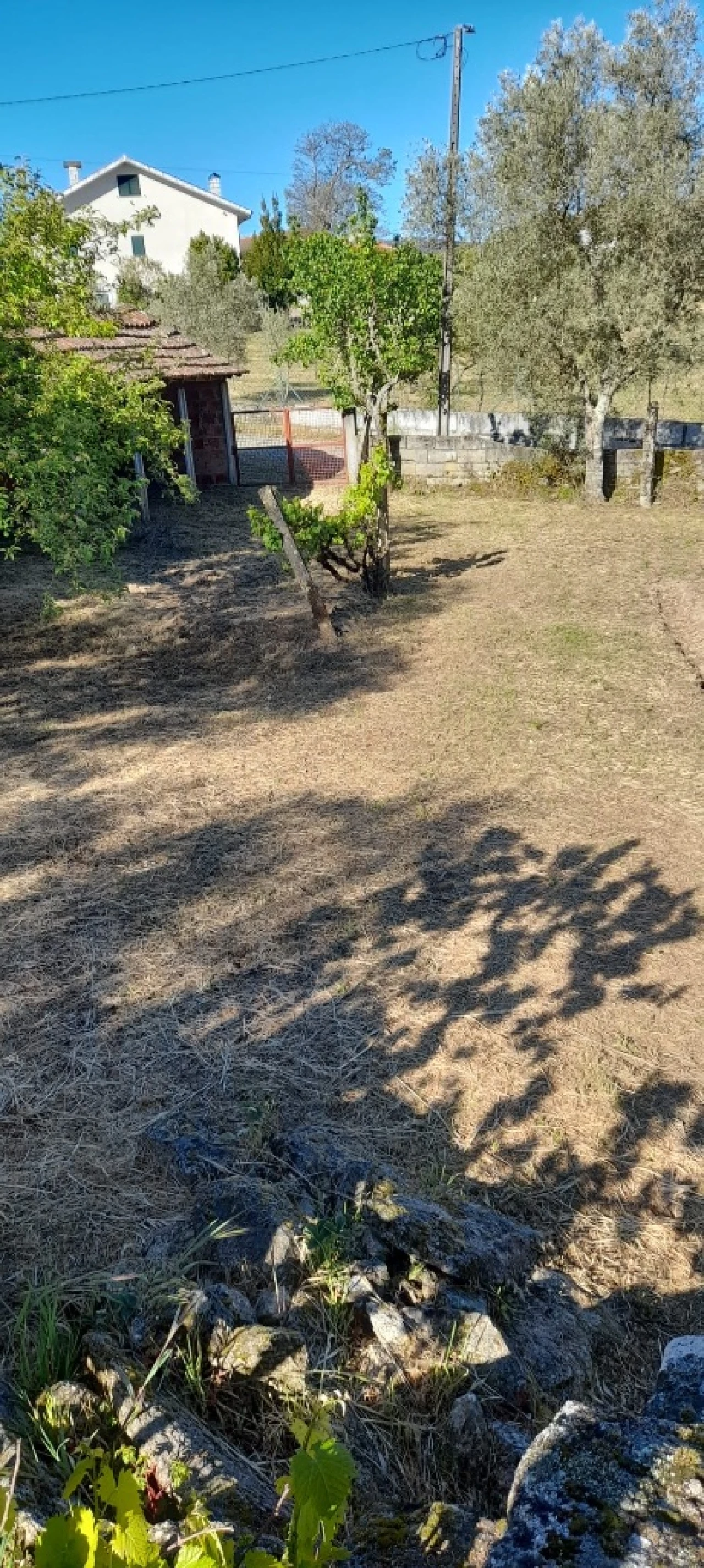 Moradia T3 para Venda em Freixeda Foto 10