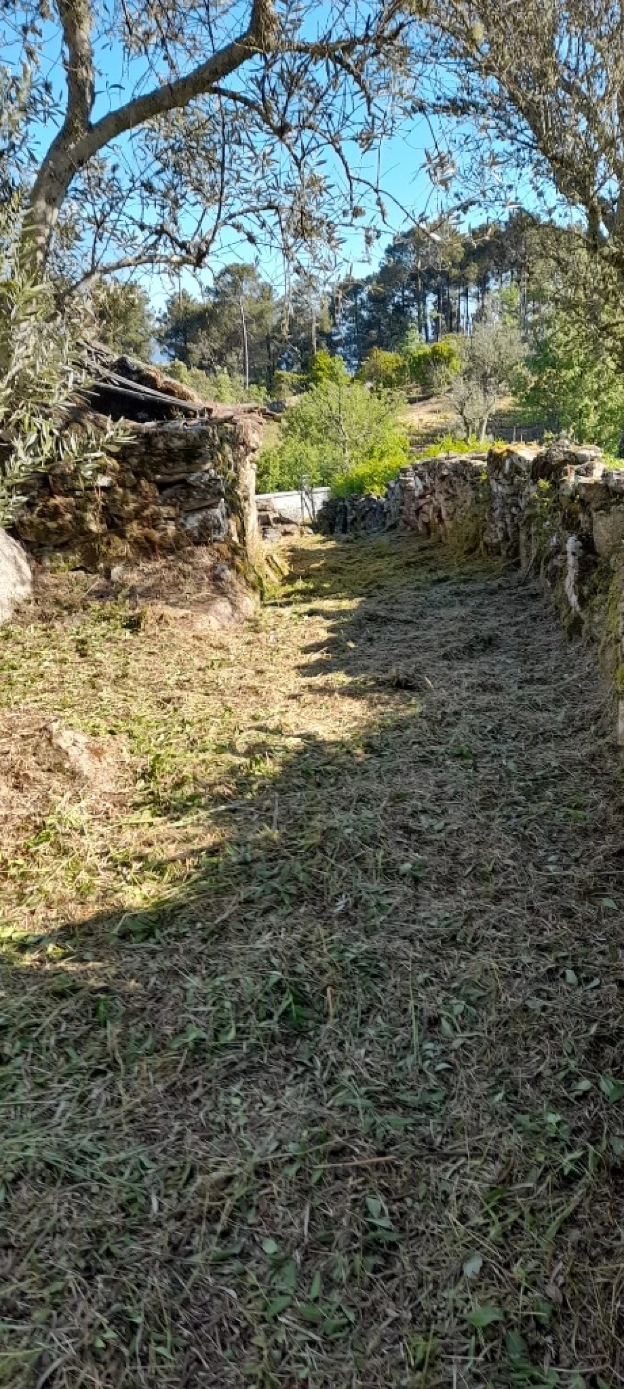 Moradia T3 para Venda em Freixeda Foto 11