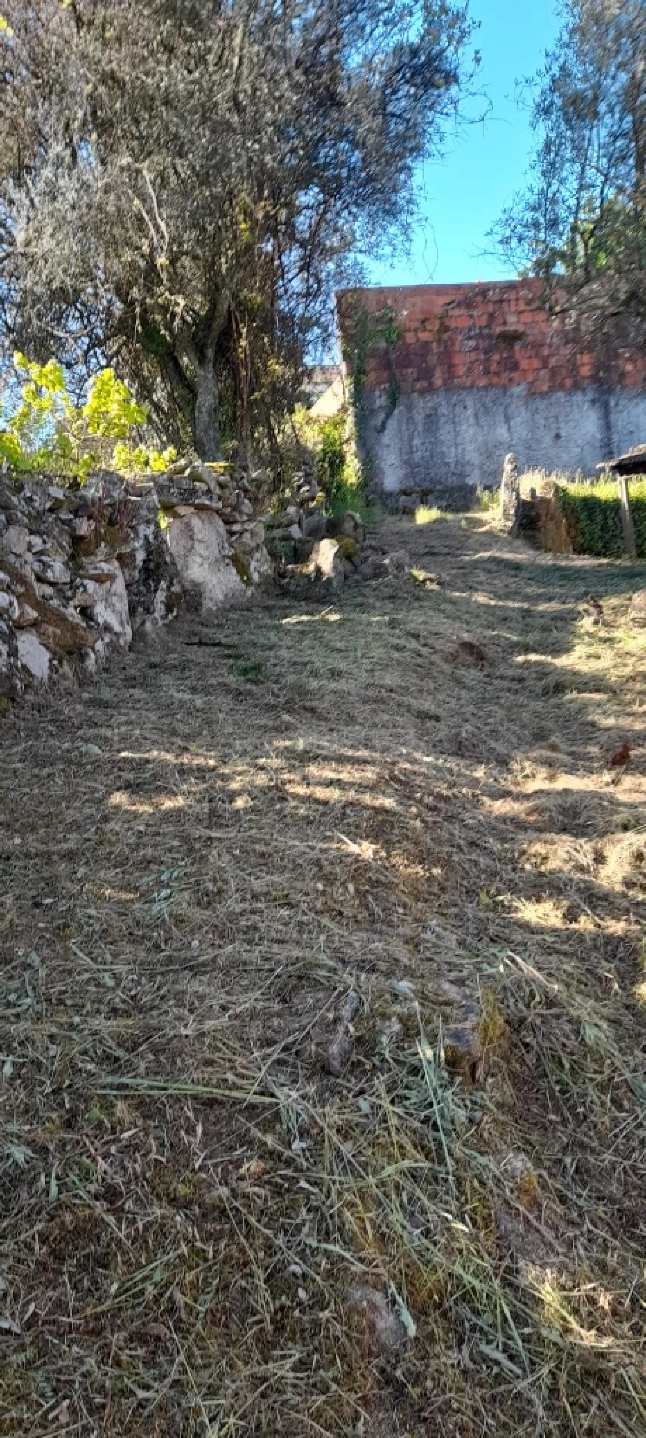 Moradia T3 para Venda em Freixeda Foto 12