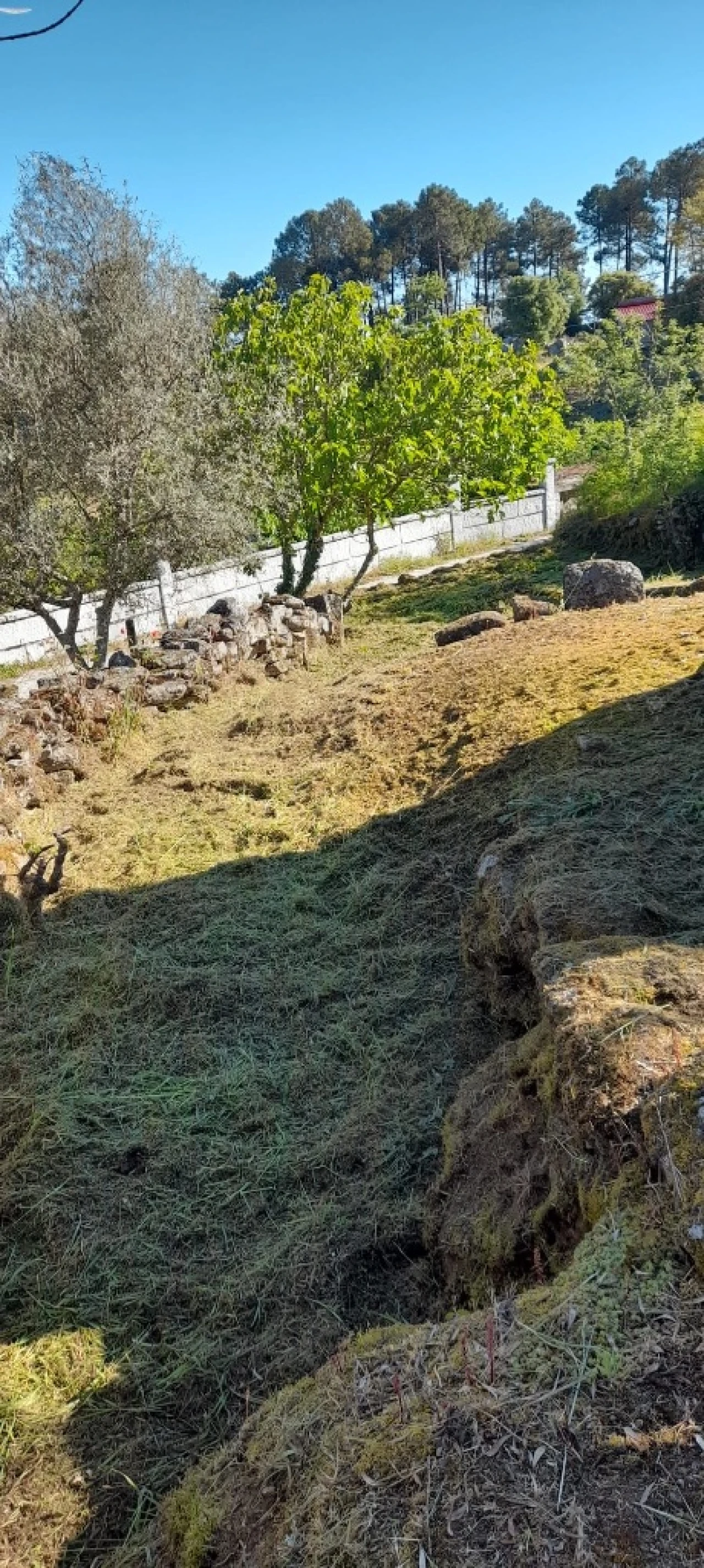 Moradia T3 para Venda em Freixeda Foto 14