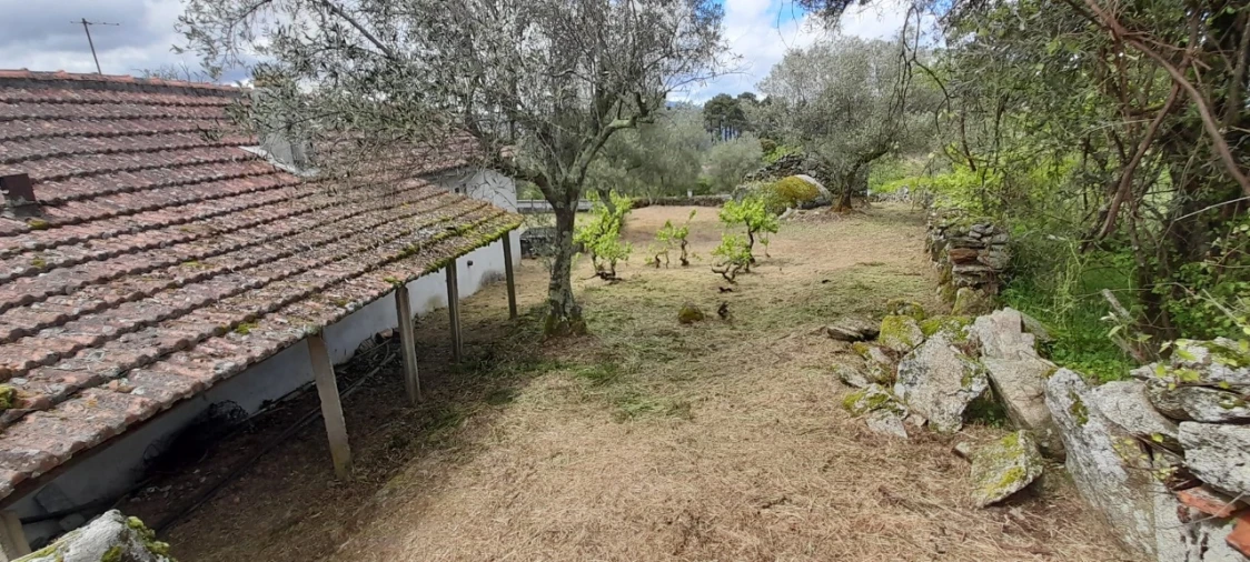 Moradia T3 para Venda em Freixeda Foto 3