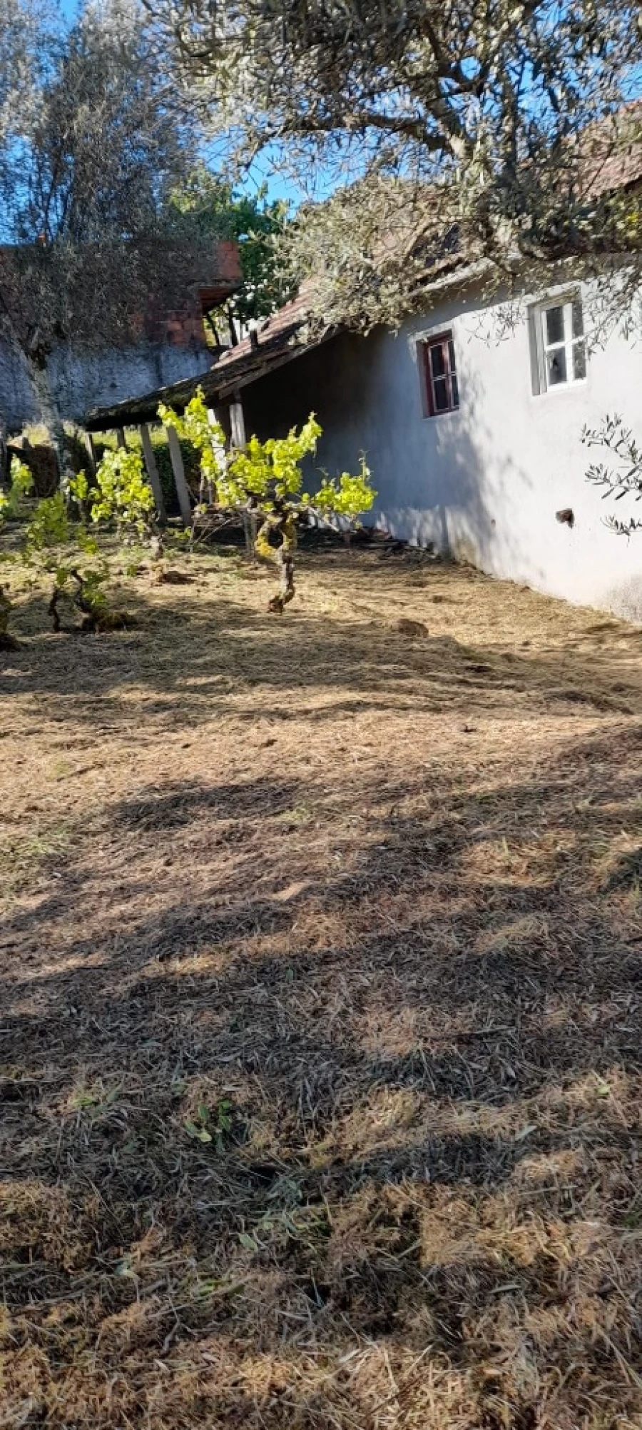 Moradia T3 para Venda em Freixeda Foto 13