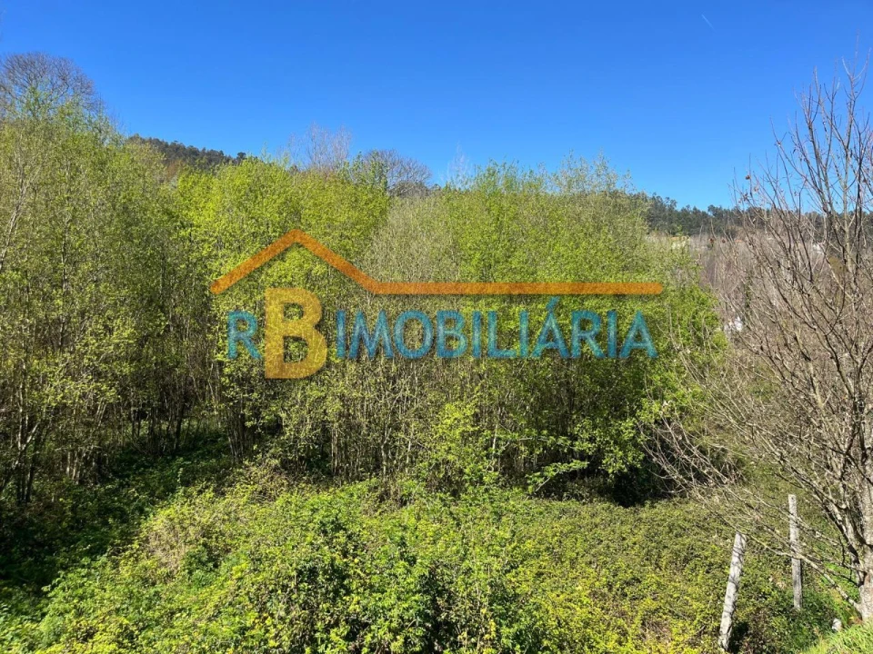 Quinta T3 para Venda em Moldes Foto 27