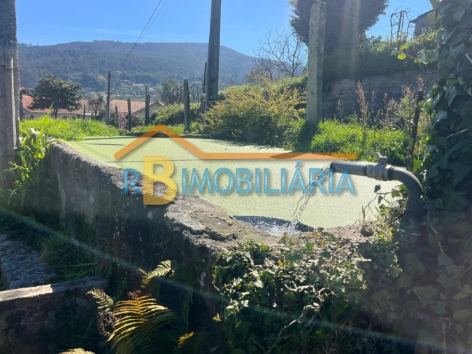 Quinta T3 para Venda em Moldes Foto 17