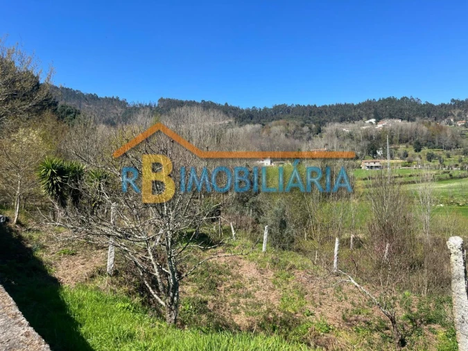 Quinta T3 para Venda em Moldes Foto 24