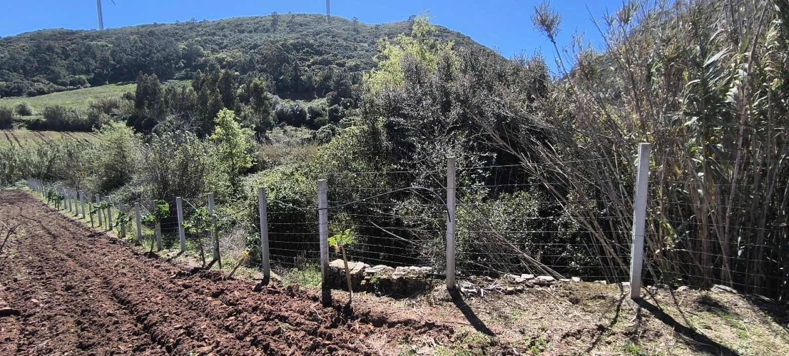 Terreno para Venda em Pó Foto 3