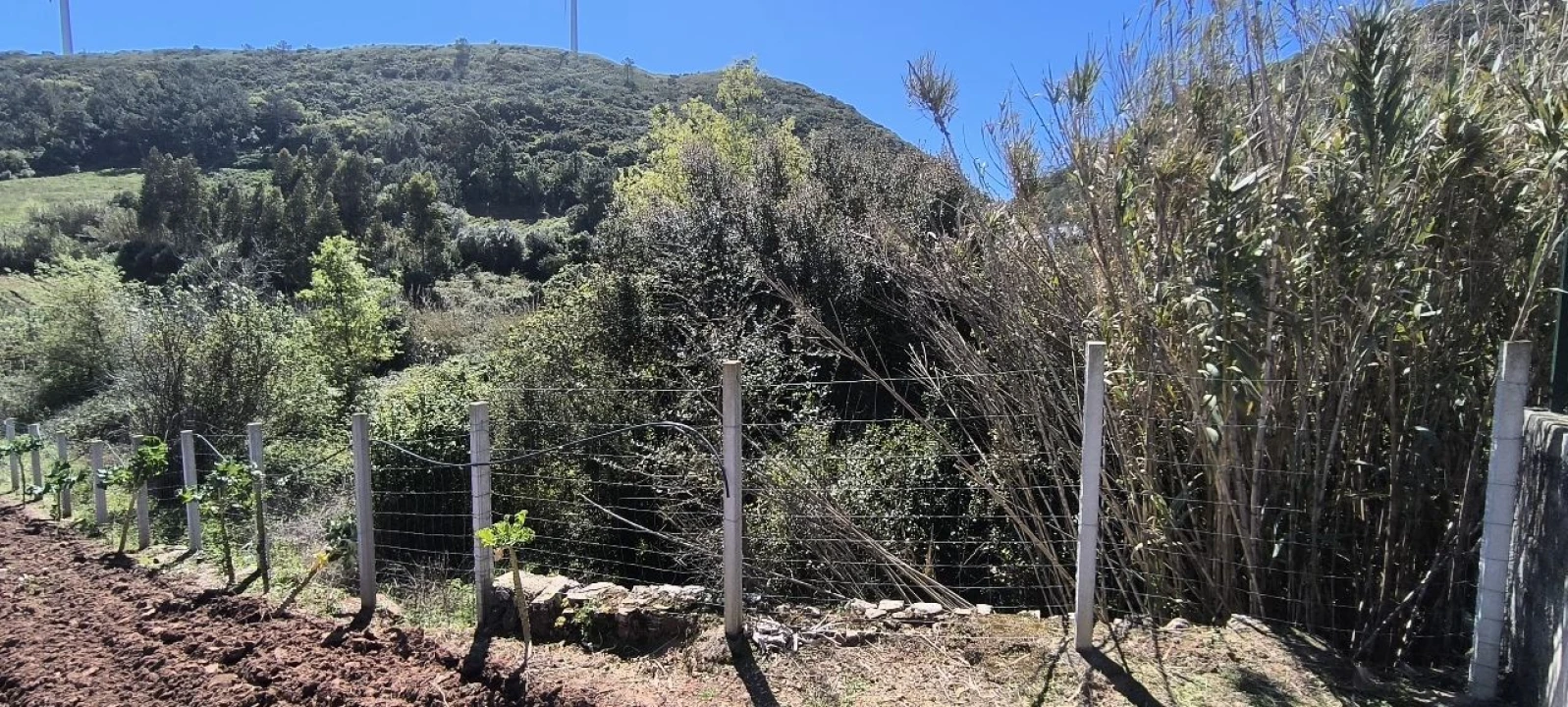 Terreno para Venda em Pó Foto 4