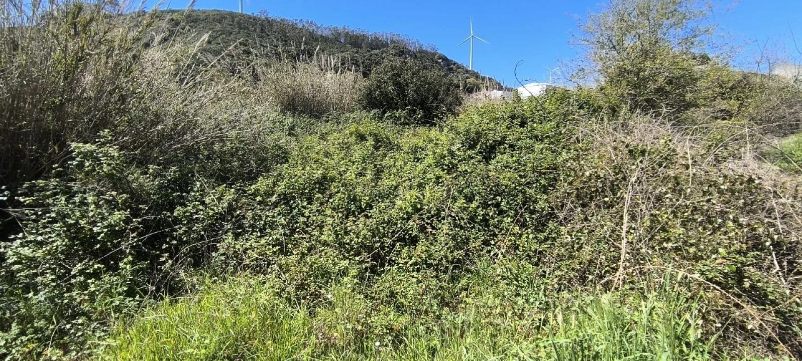 Terreno para Venda em Pó Foto 5