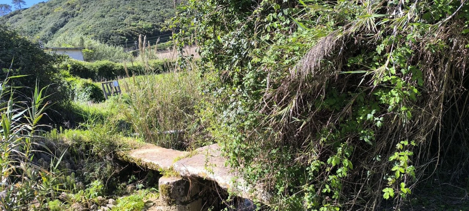 Terreno para Venda em Pó Foto 9