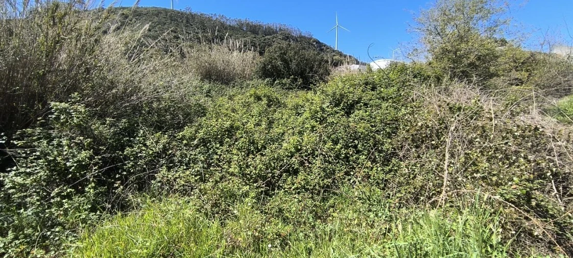 Terreno para Venda em Pó Foto 5