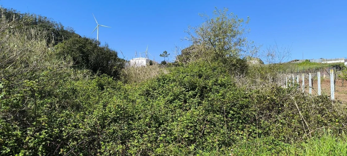 Terreno para Venda em Pó Foto 7