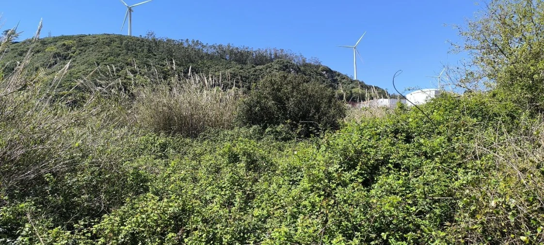 Terreno para Venda em Pó Foto 8