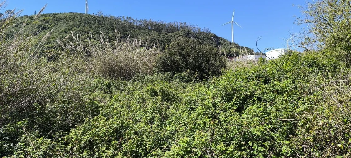 Terreno para Venda em Pó Foto 11