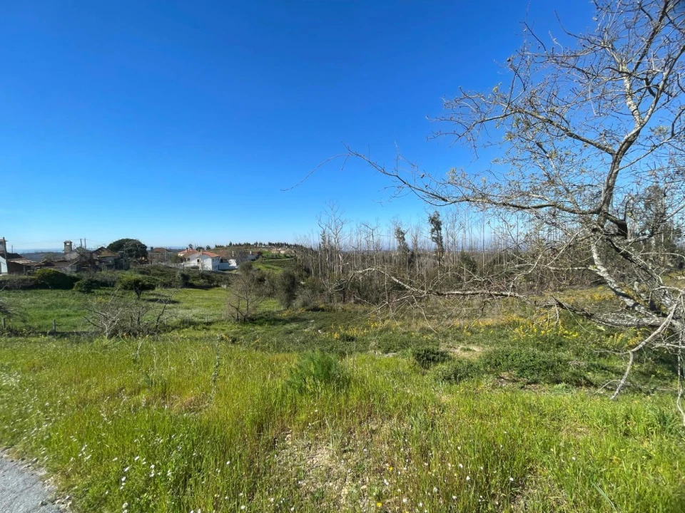 Terreno para Venda em Toco Foto 1