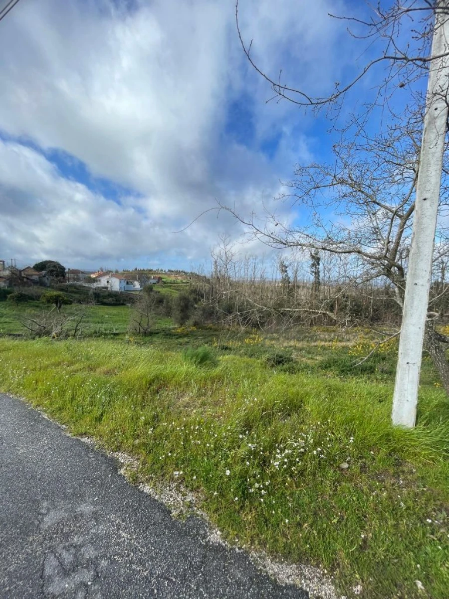 Terreno para Venda em Toco Foto 2