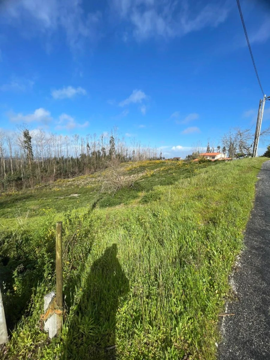 Terreno para Venda em Toco Foto 4