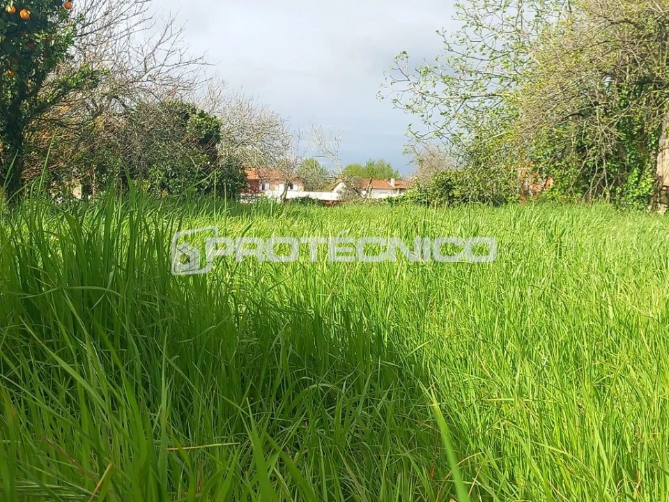 Moradia T4 para Venda em Cacia Foto 29