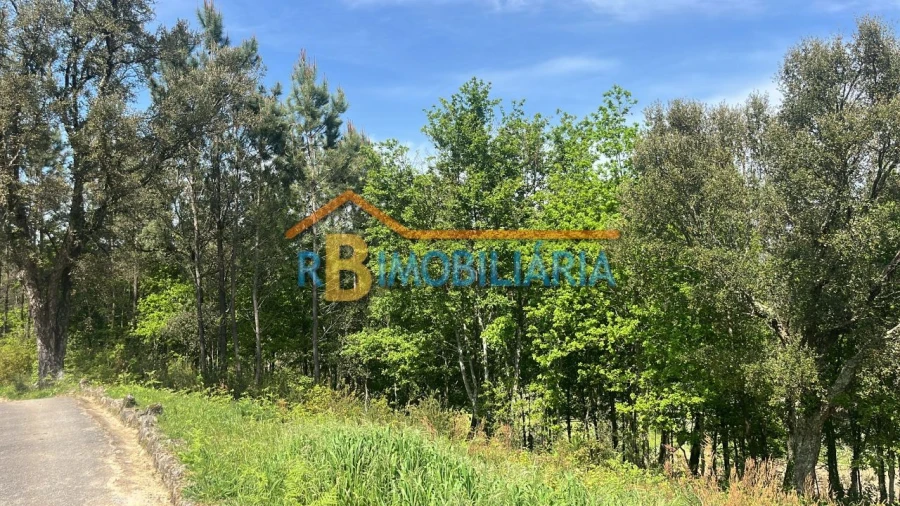 Terreno para Venda em Tojal Foto 9