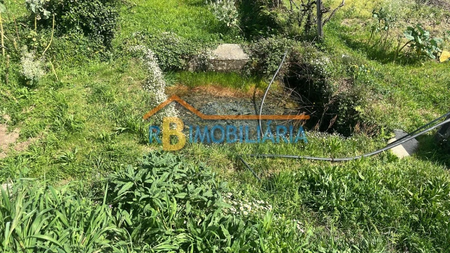 Terreno para Venda em Tojal Foto 10