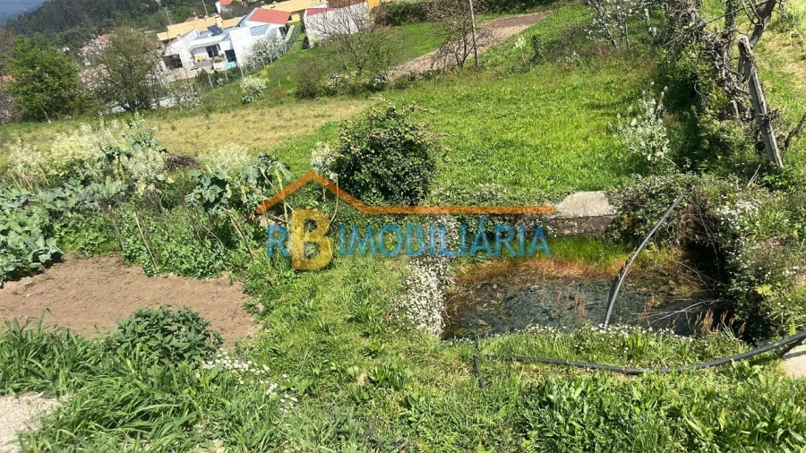 Terreno para Venda em Tojal Foto 2