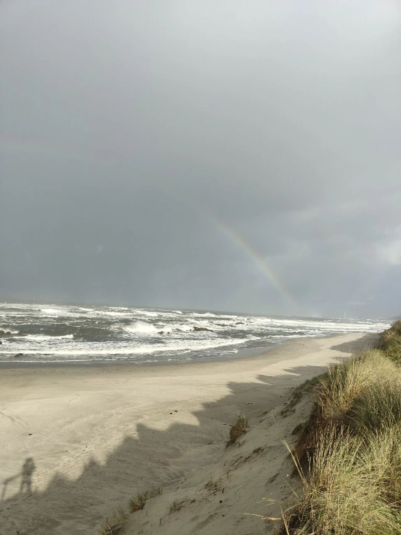 Negócio para Venda em praia da amorosa Foto 14