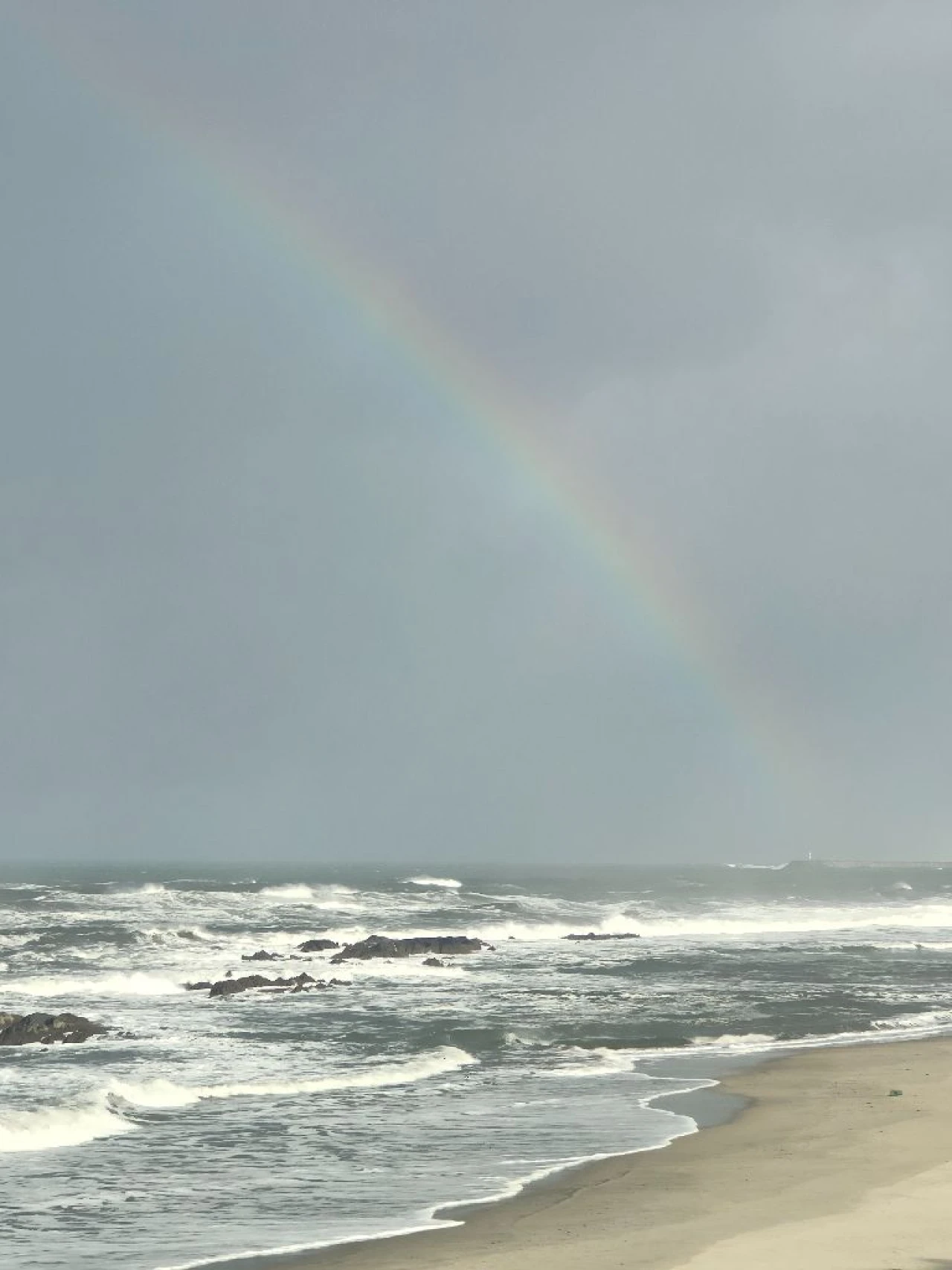 Negócio para Venda em praia da amorosa Foto 15