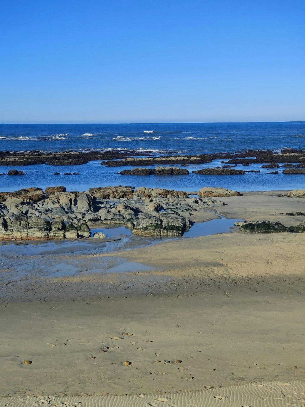 Negócio para Venda em praia da amorosa Foto 18