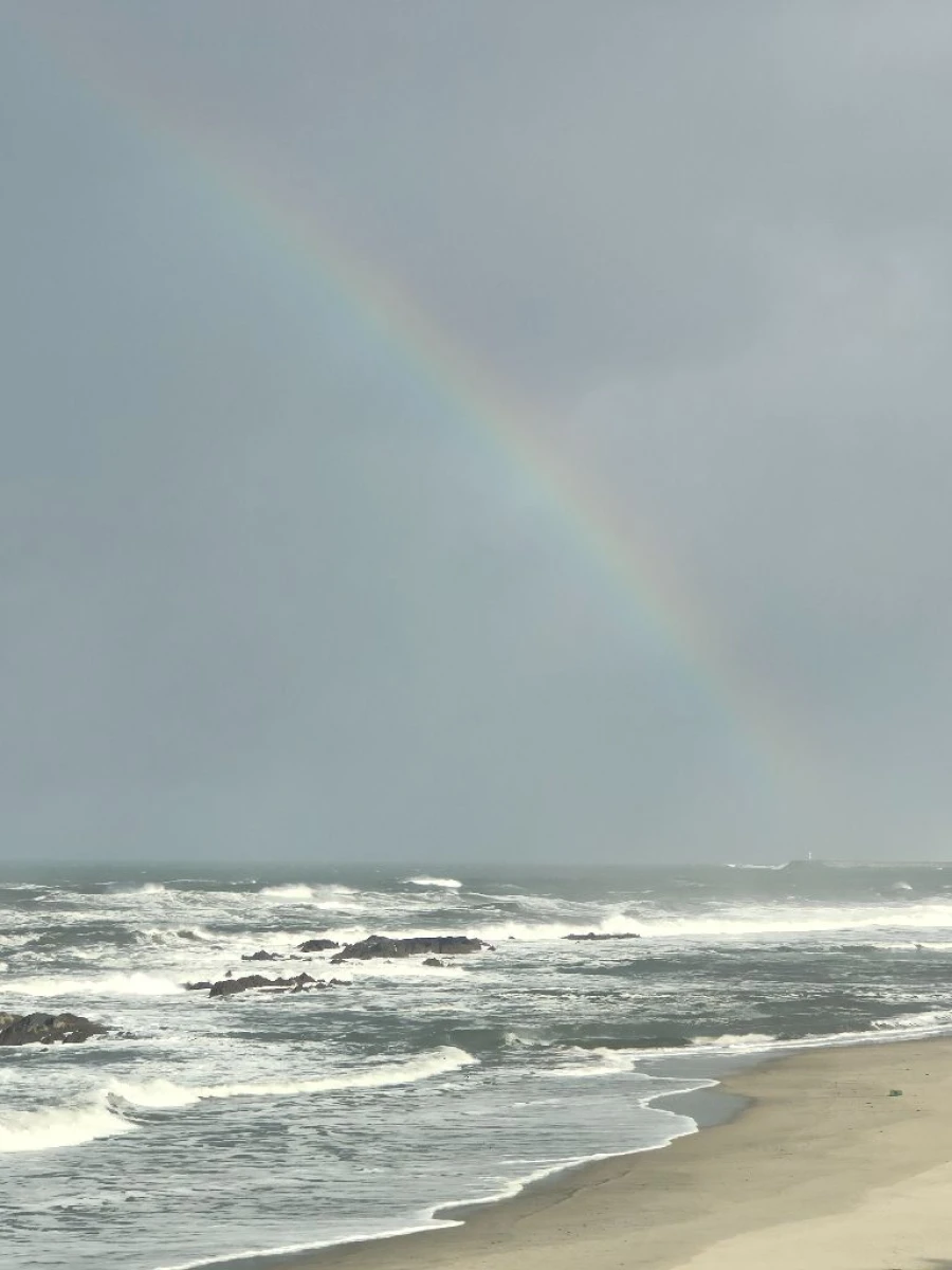 Negócio para Venda em praia da amorosa Foto 15