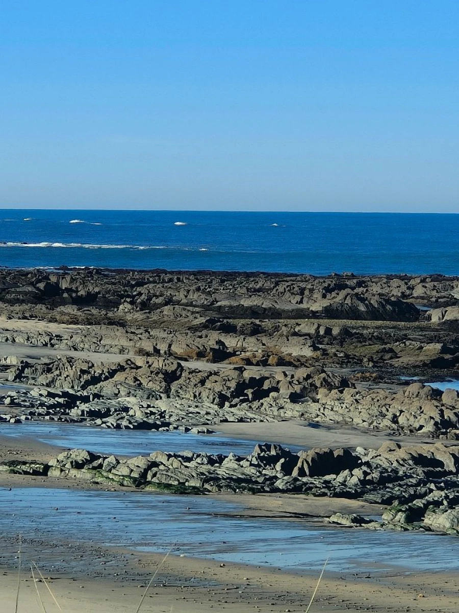 Negócio para Venda em praia da amorosa Foto 16
